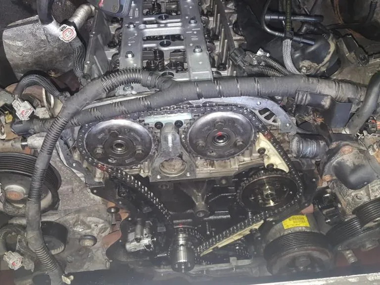 Freigelegte Steuerkette am ausgebauten Motor